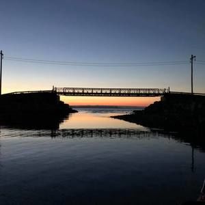 Meet your Posher, Penny